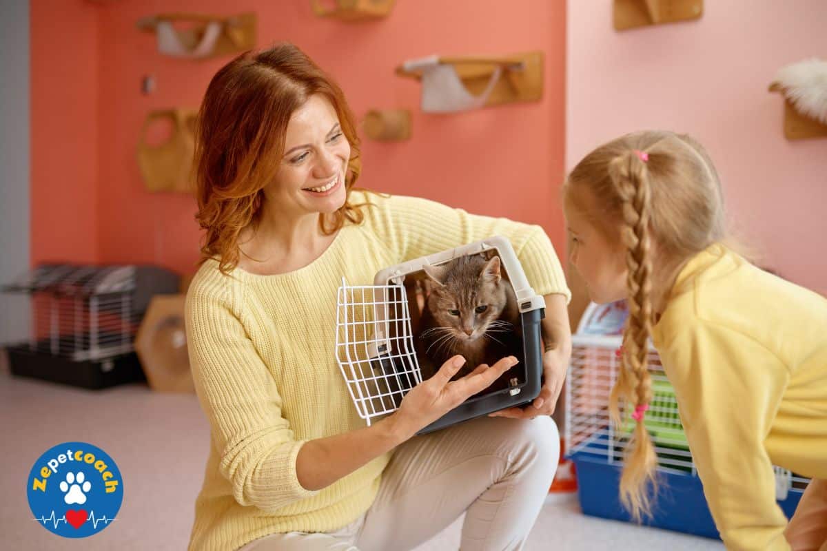 adoption chat
