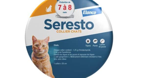 Seresto Chat