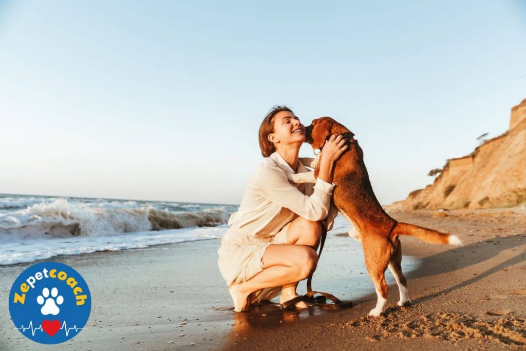 Relation homme-chien