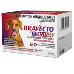 Bravecto Quantum injectable