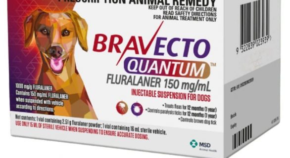 Bravecto Quantum injectable