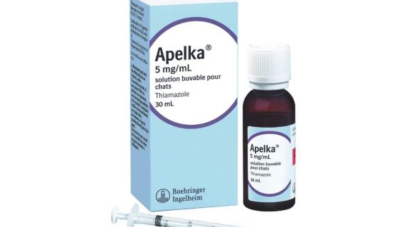 Apelka 5 mg/mL Solution buvable pour chats