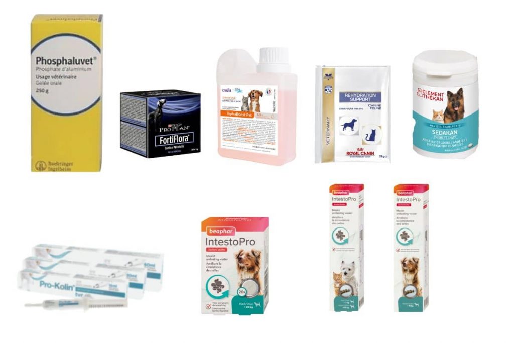 Phosphaluvet et autres produits sans ordonnance utiles contre la gastrite chez le chien
