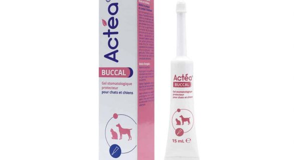 ACTEA® BUCCAL