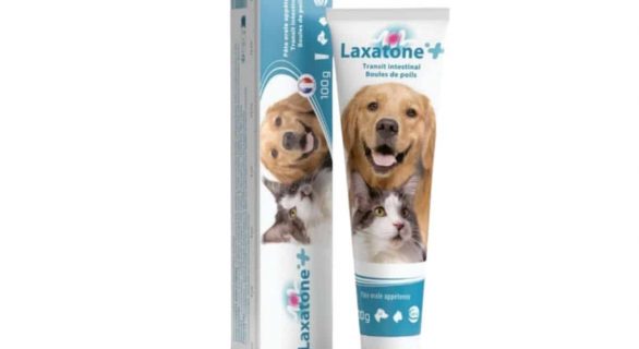 LAXATONE PLUS Chat et Chien