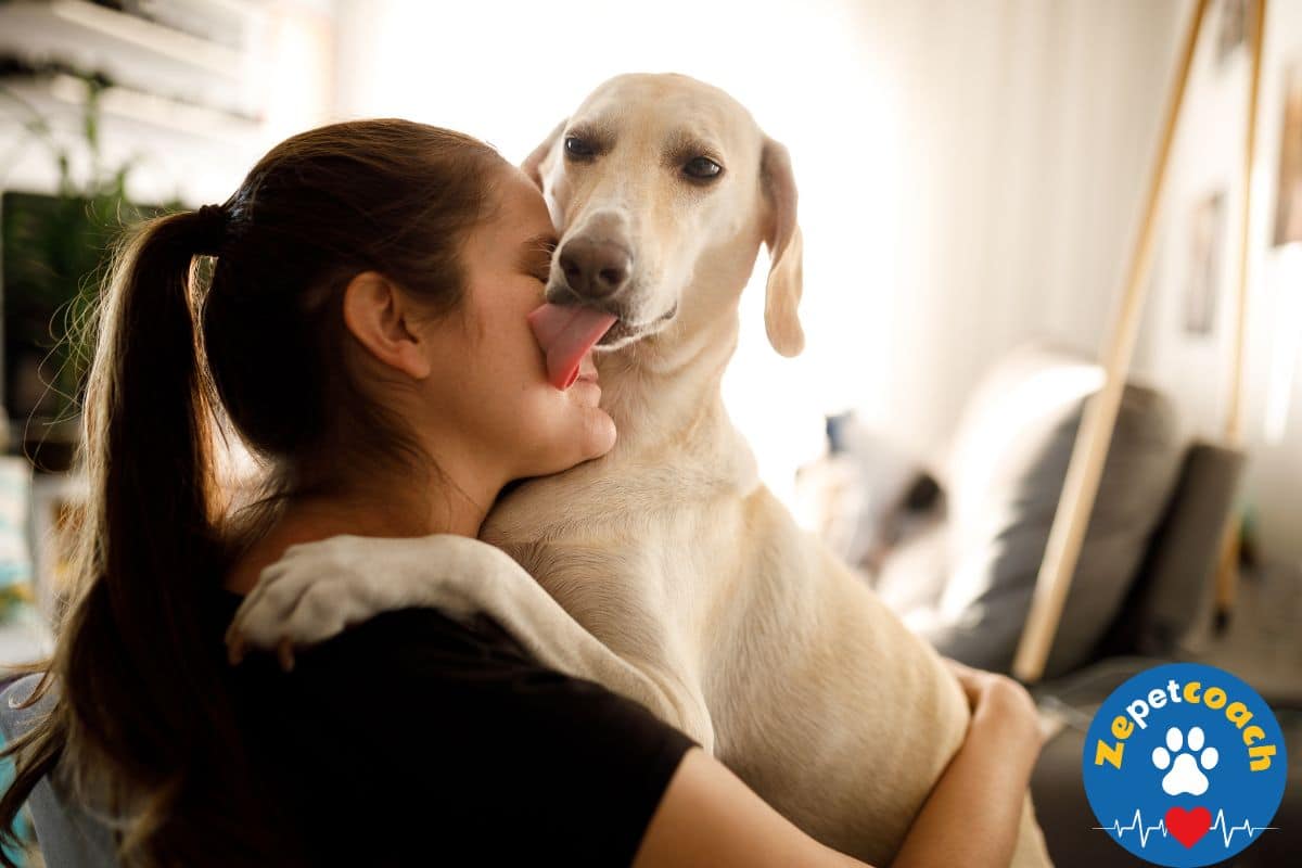 chien qui lèche le visage