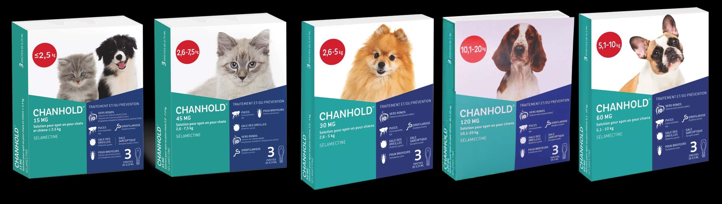 Chanhold antiparasitaire externe et interne en pipette pour chat et chien