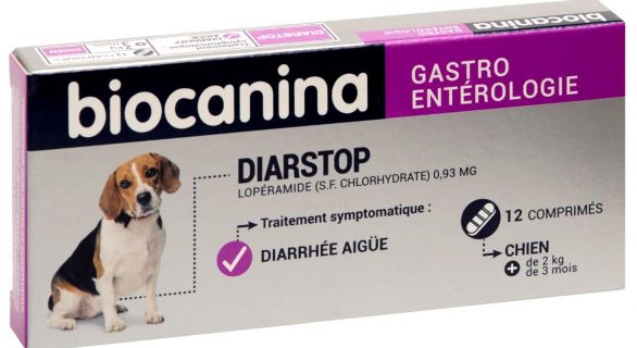 Diarstop pour chien_ZPC