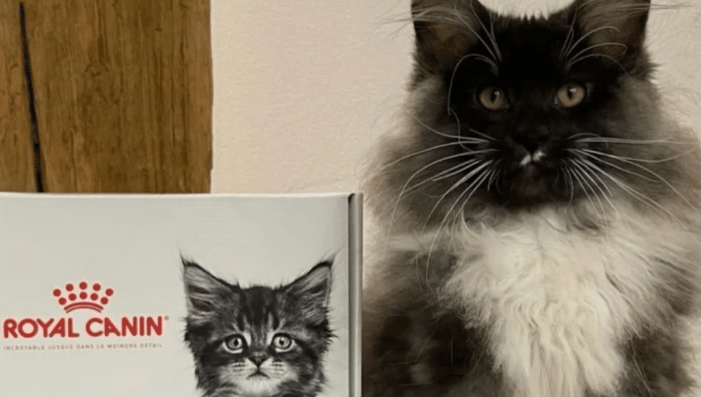 Design sans titre (14)