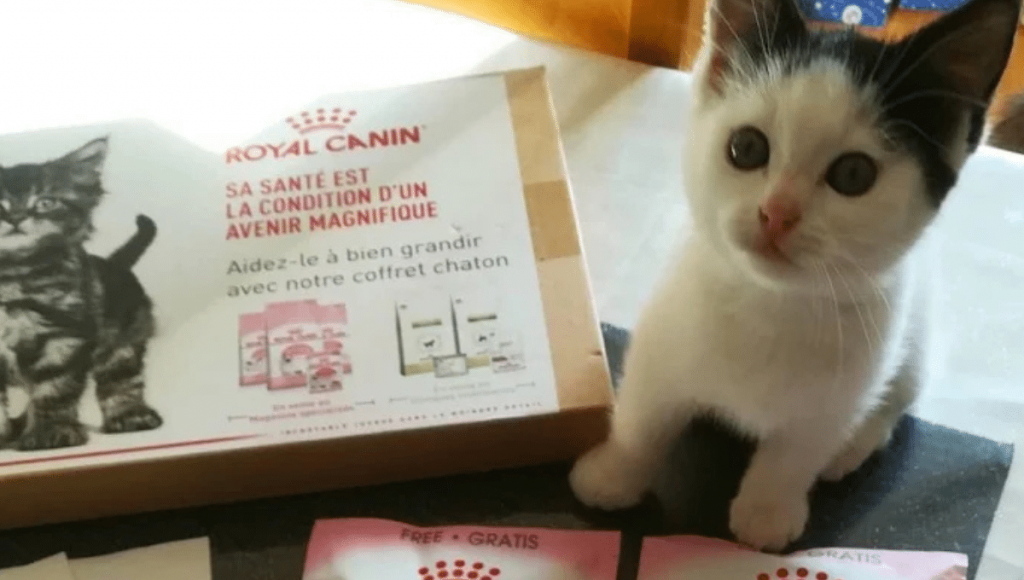 Design sans titre (15)