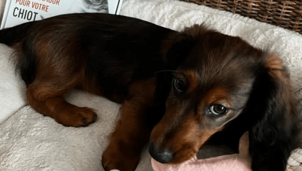 Design sans titre (16)