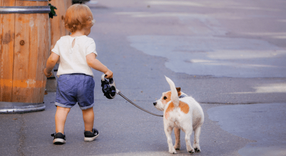 chien en balade