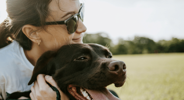 chien câlin
