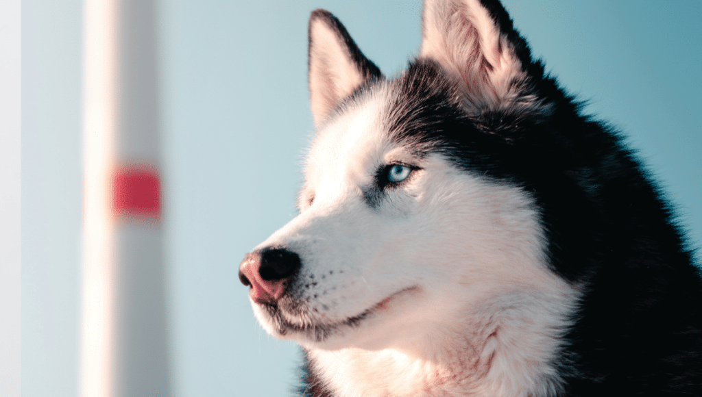 Design sans titre (56)