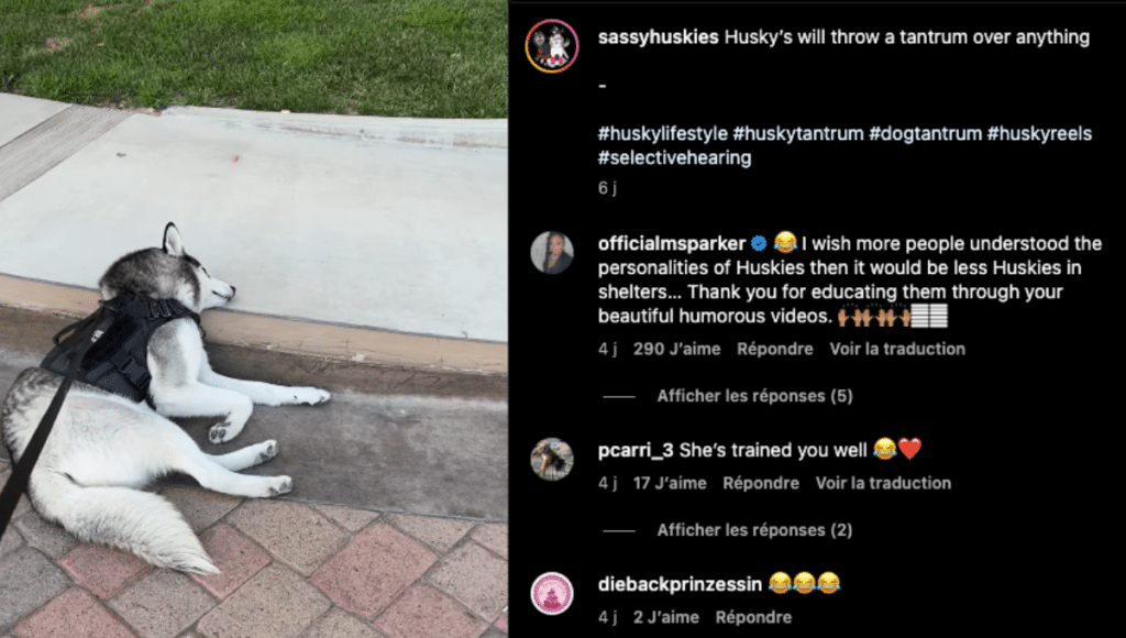 Design sans titre (57)