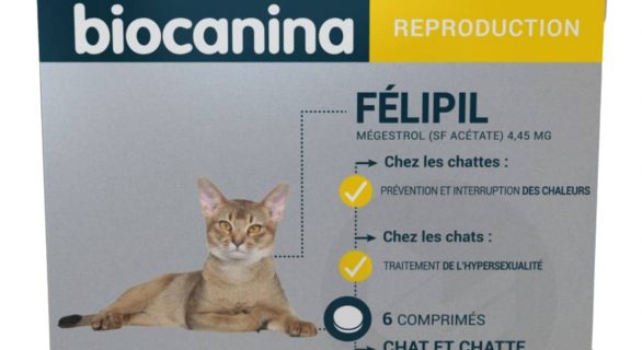 Felipil_ZPC