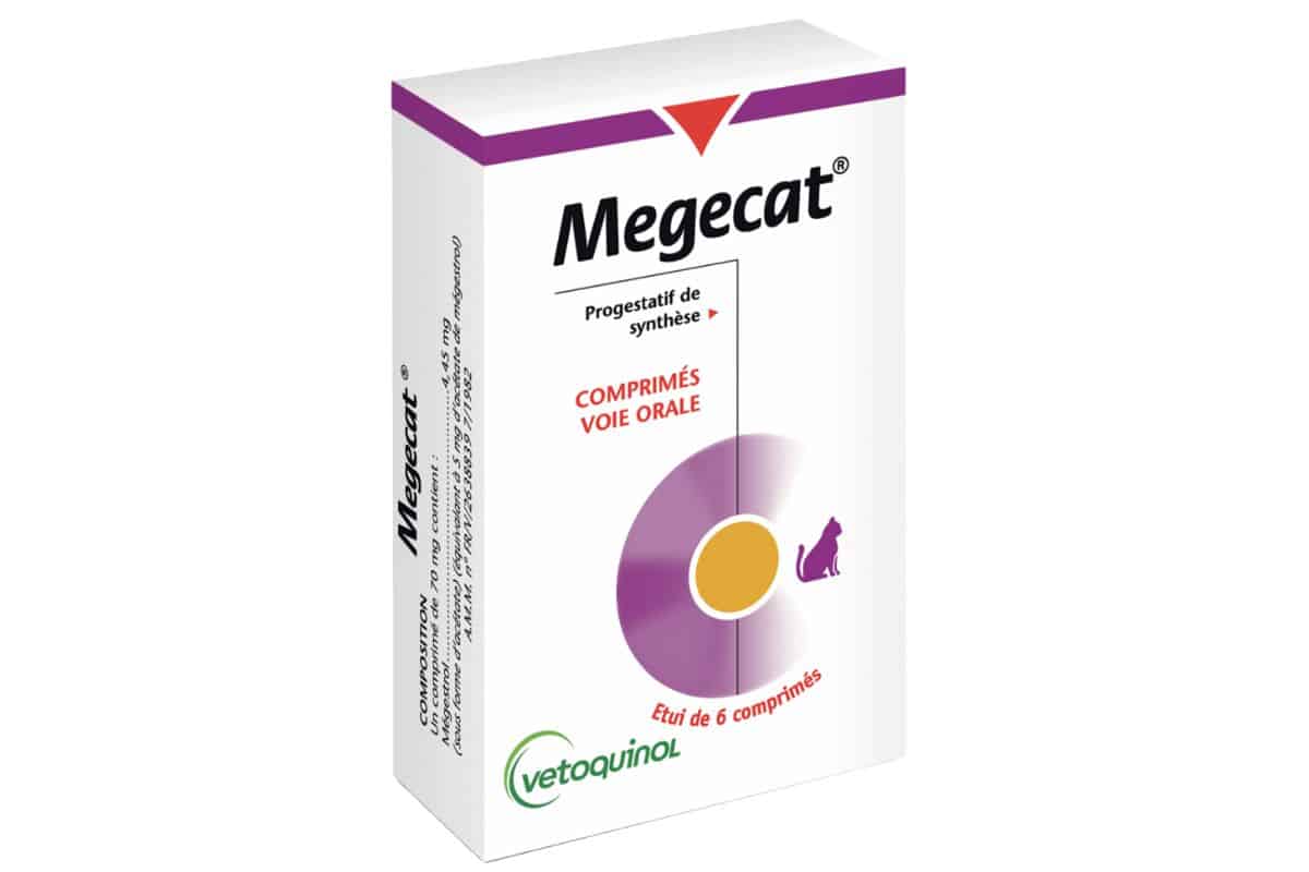 MEGECAT POUR CHAT
