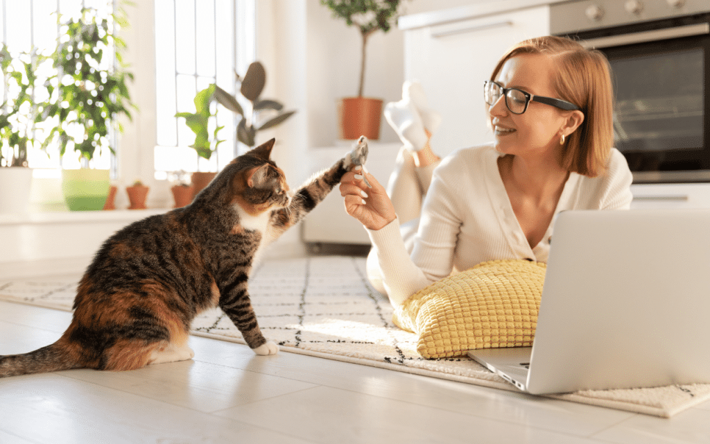 Nom chat mythologie