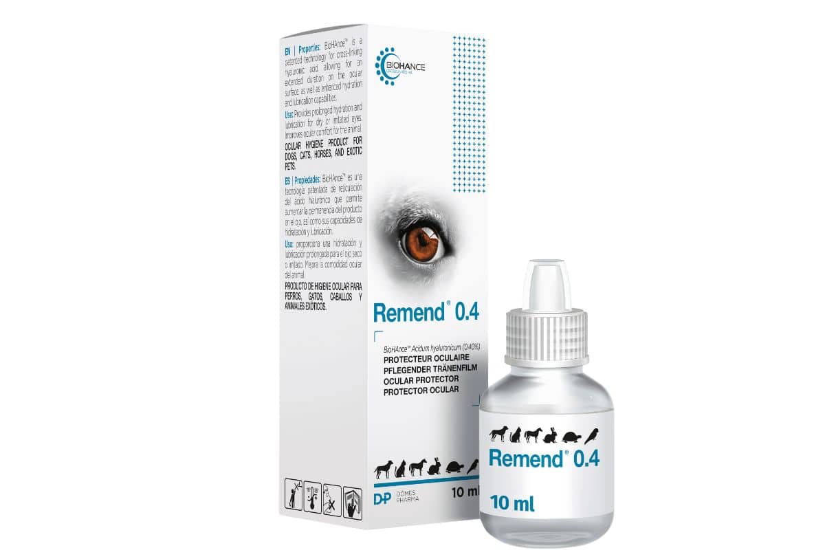 REMEND® 0,40 : Collyre pour chien, chat, cheval et NAC