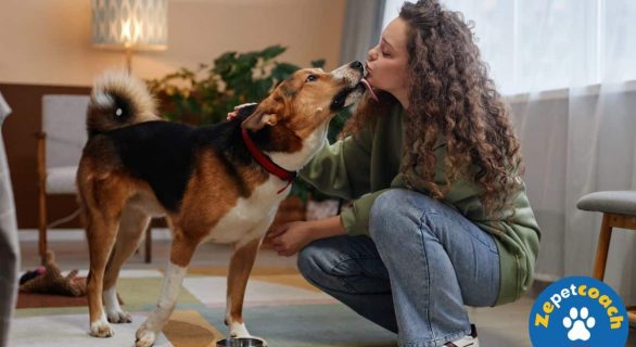 chien qui lèche le visage