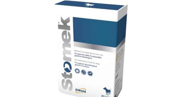 STOMEK® pour le confort gastrique des chiens et des chats en comprimés_ZPC