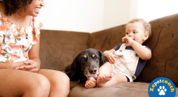 léchage de pieds