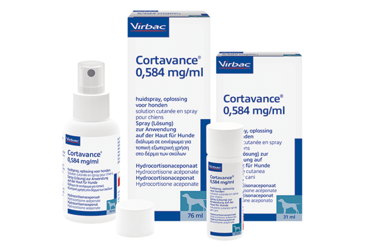 Cortavance solution cutanée en spray contre les démangeaisons pour chien sur ordonnance