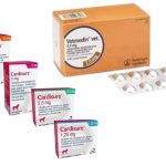 cout de traitement au Pimobendane : Vetmedin