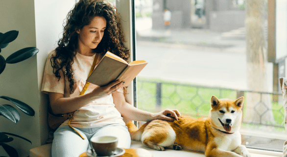 5-conseils-education-chien