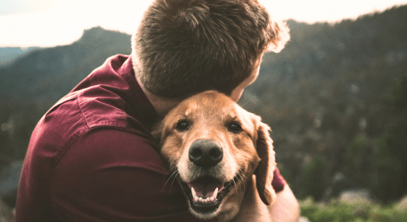 chien