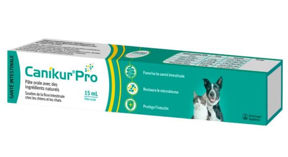 Canikur® Pro pâte orale : Probiotique intestinal pour chien et chat
