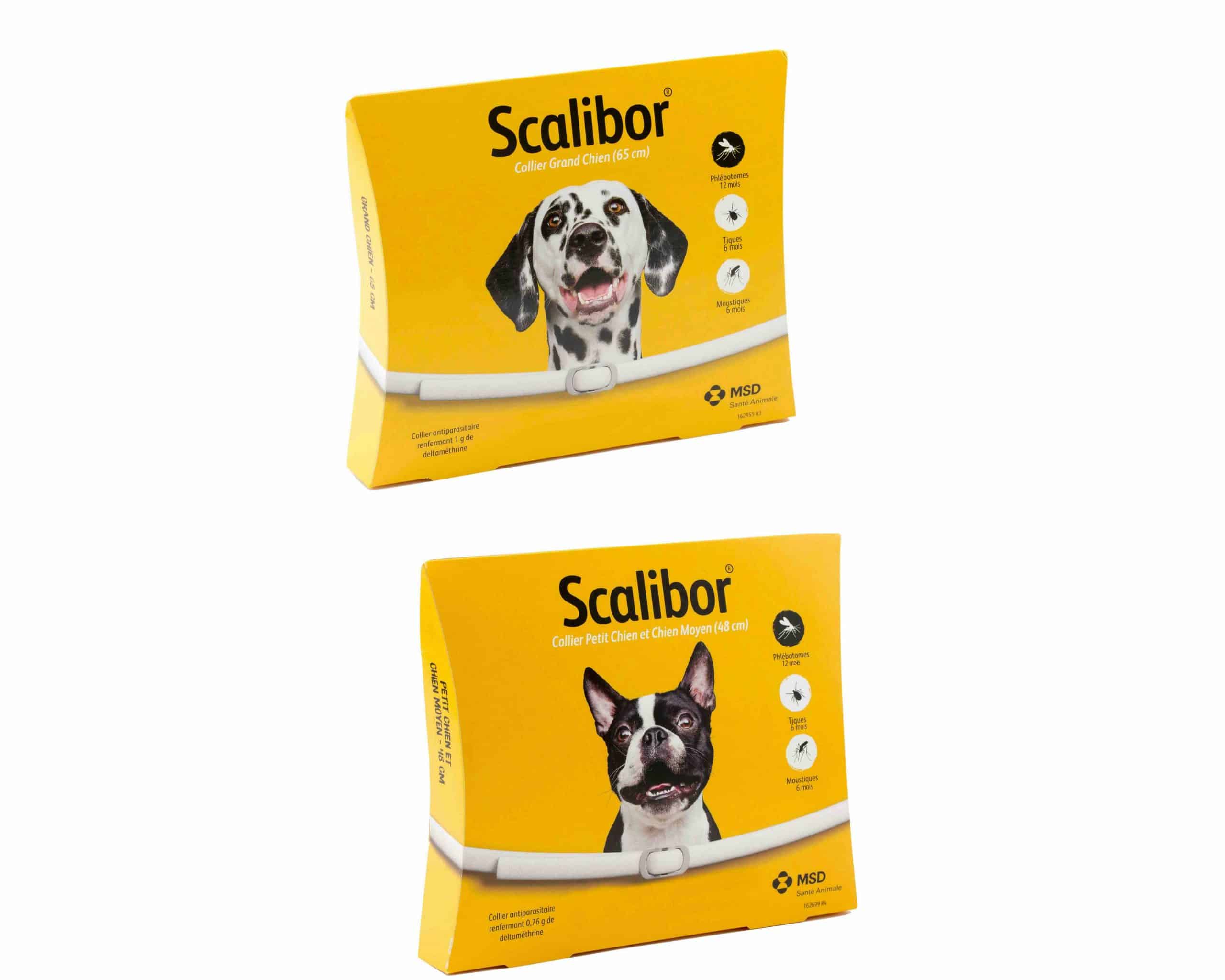 Scalibor collier Chien