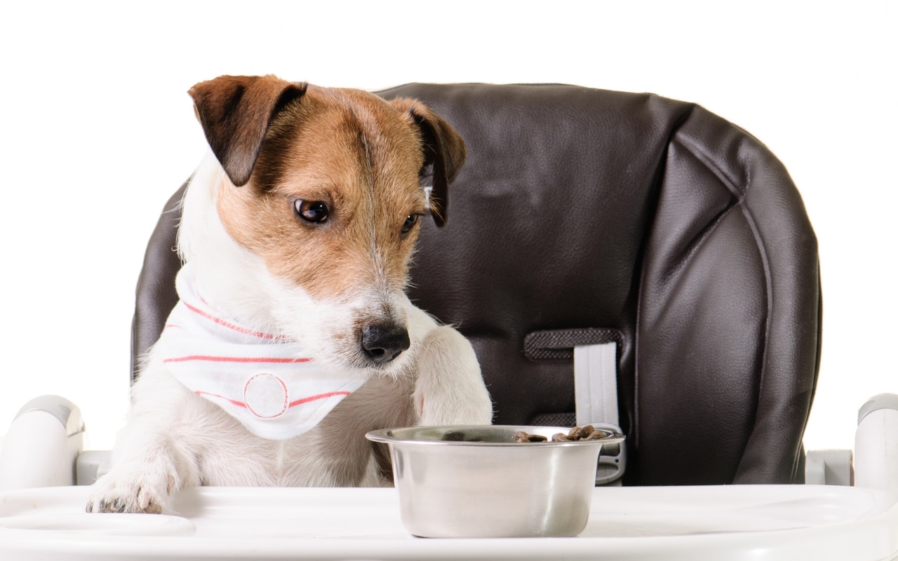 Croquette Nature's Variety