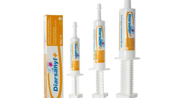 DIARSANYL®+ Chien et Chat Pâte orale pour la gestion de la diarrhée