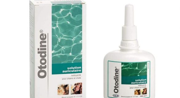 ICF - Otodine® Nettoyant oreille pour chien et chat