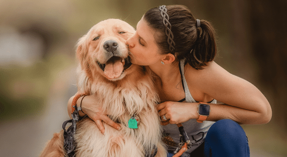 les-secrets-des-chiens-qui-vivent-plus-de-17-ans