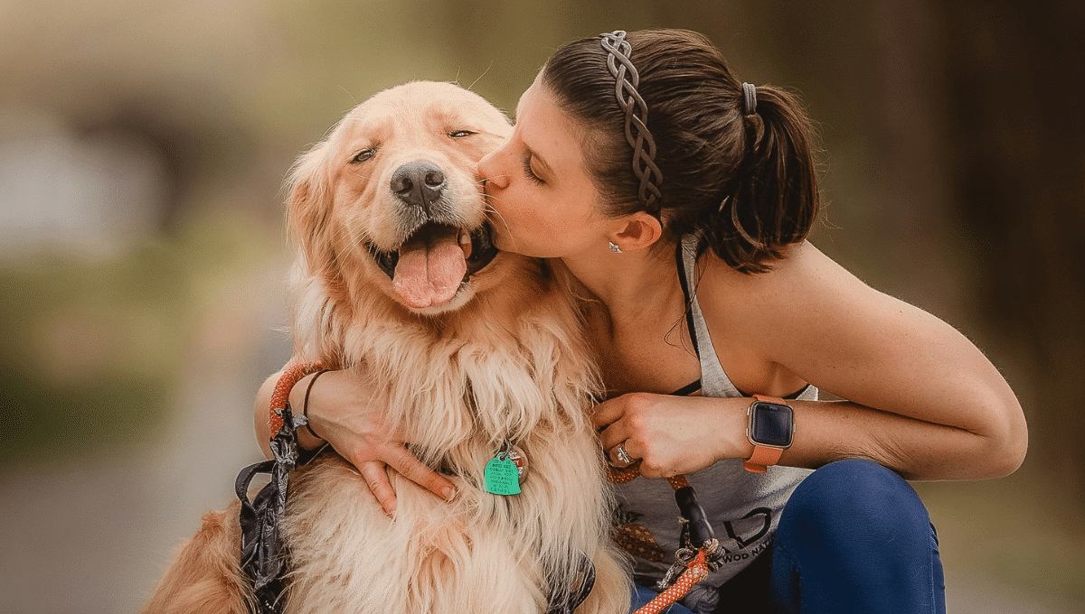 les-secrets-des-chiens-qui-vivent-plus-de-17-ans