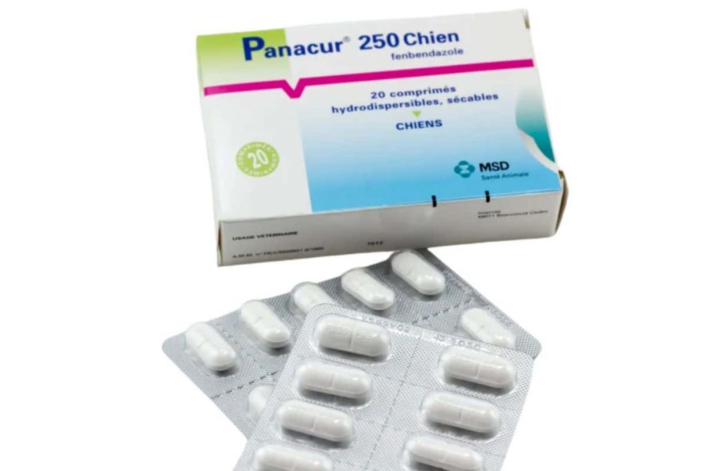 PanacurⓇ comprimés vermifuge pour chiens