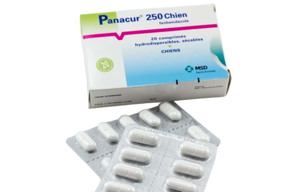 PanacurⓇ comprimés vermifuge pour chiens