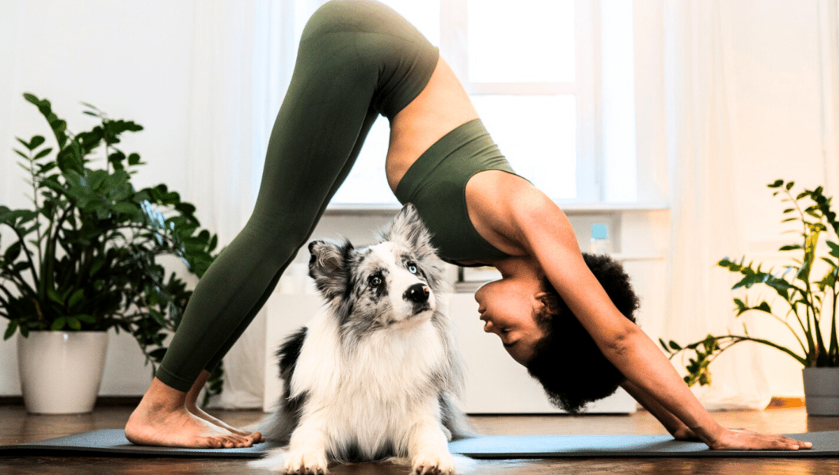 chien-yoga