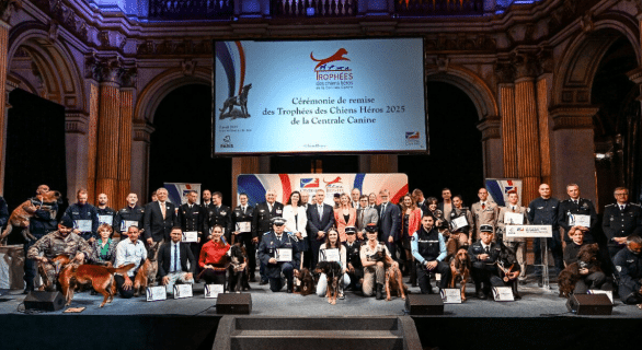 @Agence Adocom RP - 5e édition des Trophées des Chiens Héros de la Centrale Canine