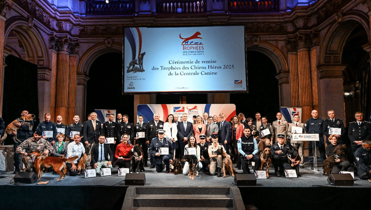 @Agence Adocom RP - 5e édition des Trophées des Chiens Héros de la Centrale Canine
