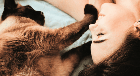 mort-animal-de-compagie