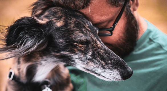 chien-et-personnalité