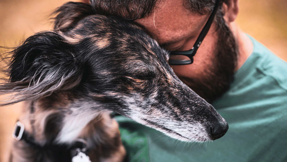 chien-et-personnalité