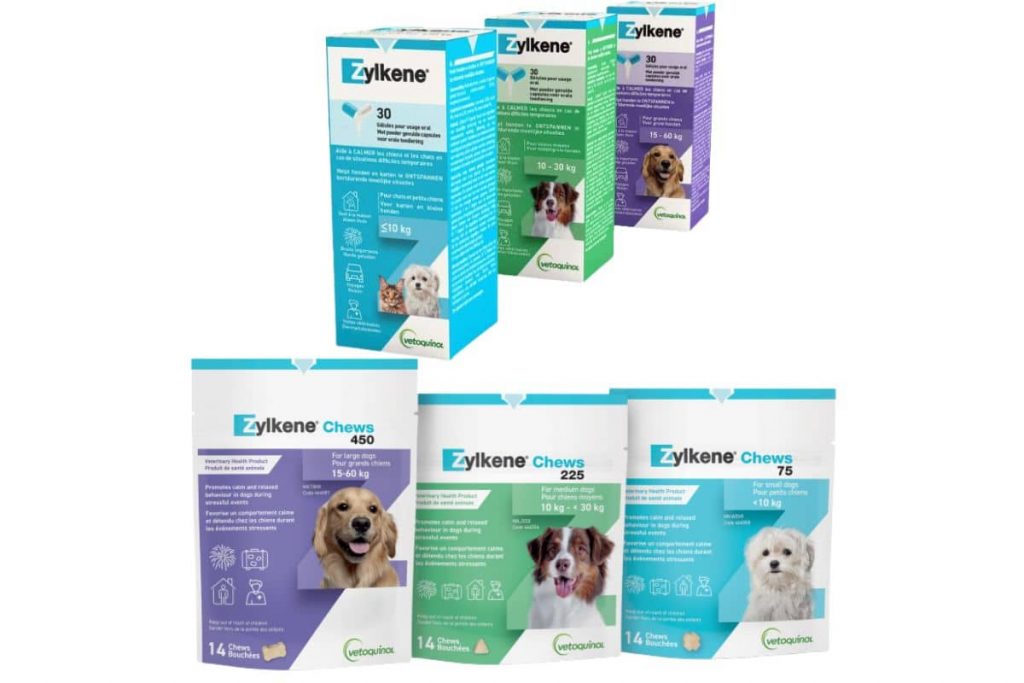Zylkène Une solution naturelle pour un animal serein