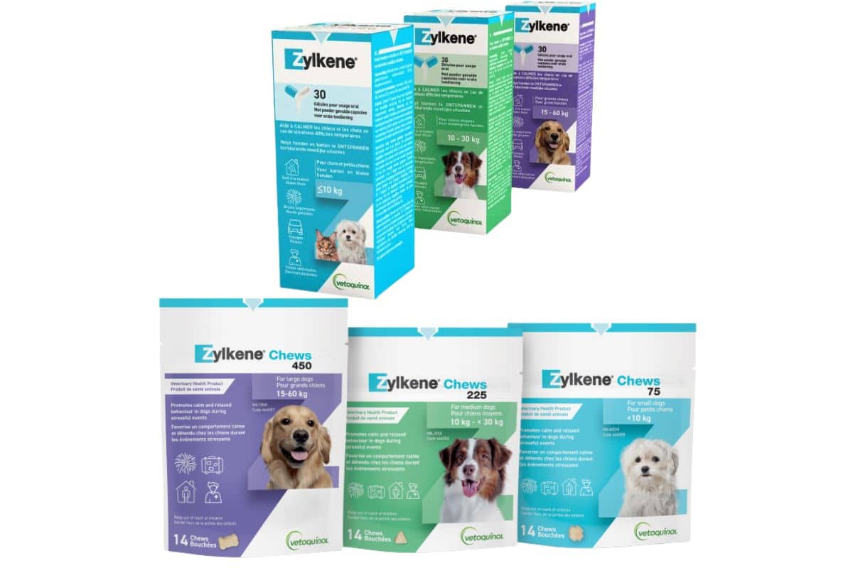 Zylkène Une solution naturelle pour un animal serein