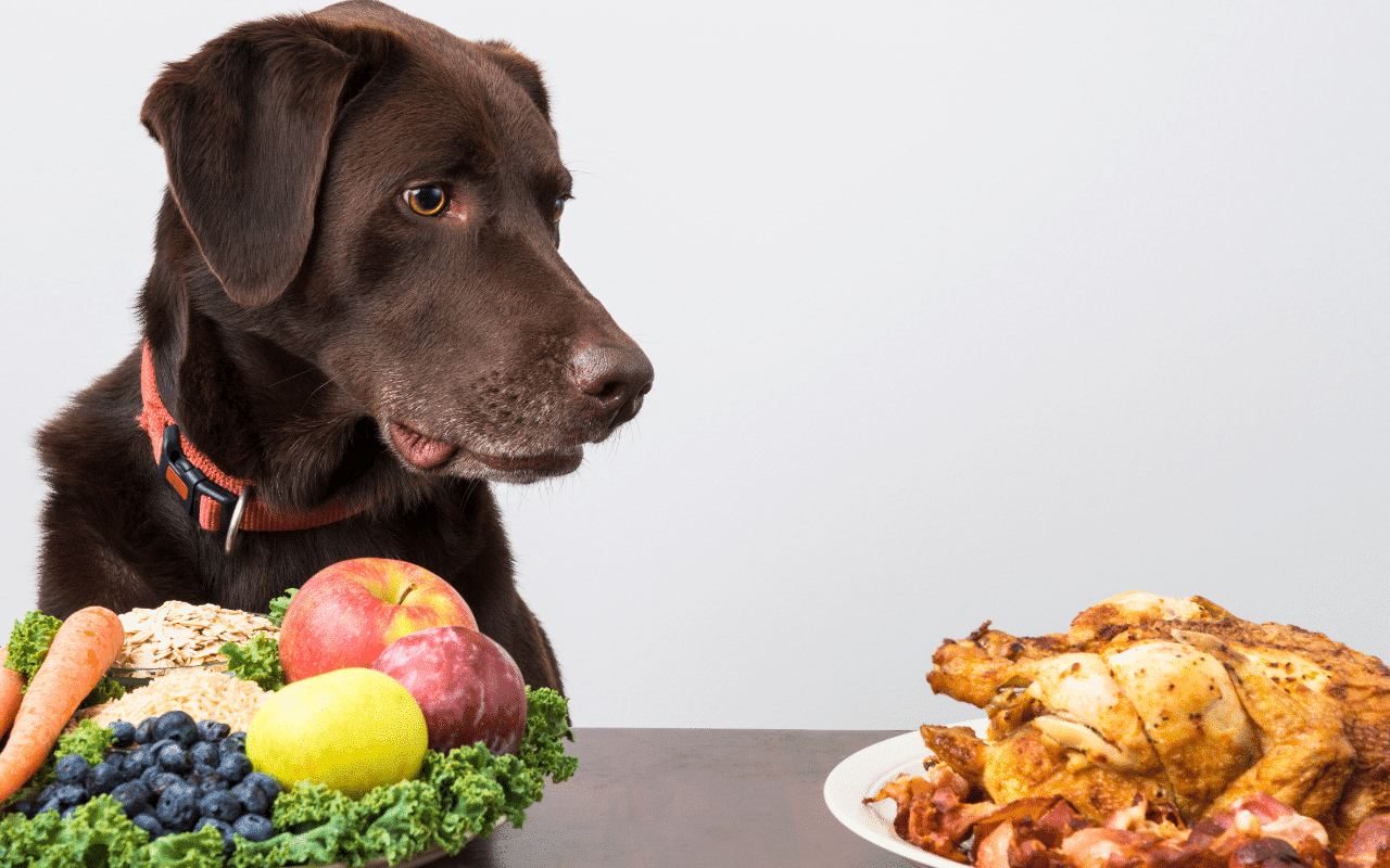 légumes interdits chien