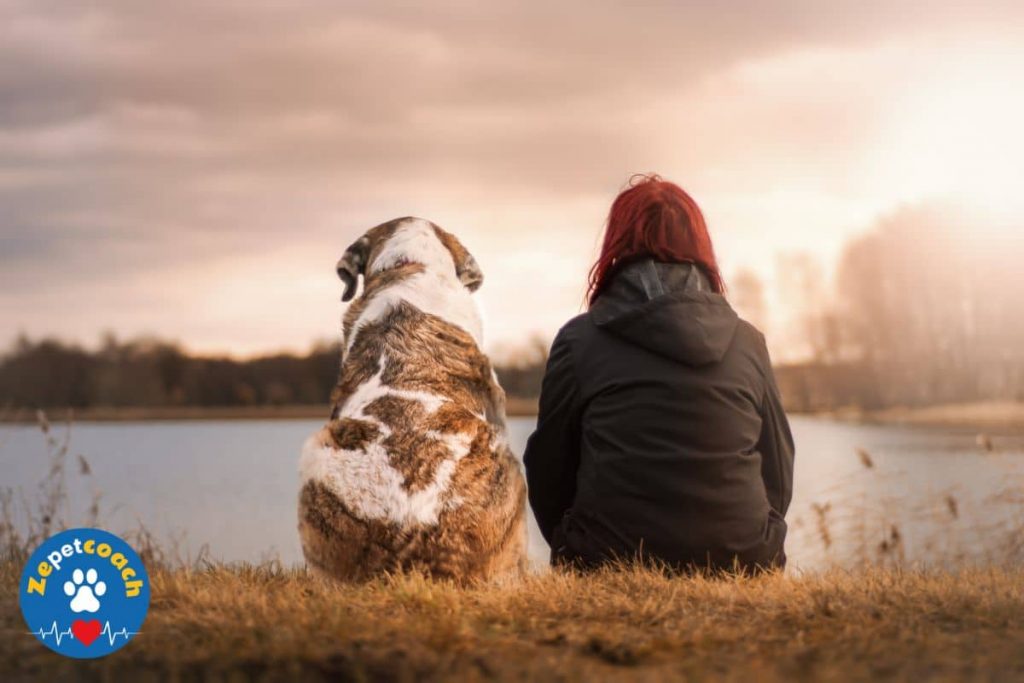 relation Homme-chien