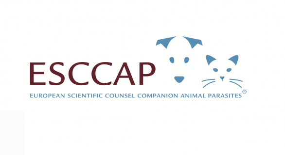 ESCCAP